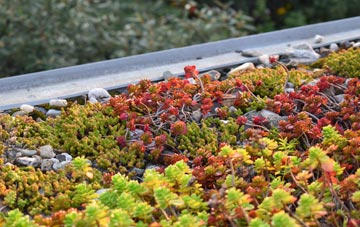 the cost of Kingledores green roof installation