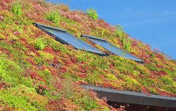 Kingledores living roof systems