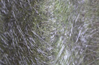 Kingledores fibreglass roof work